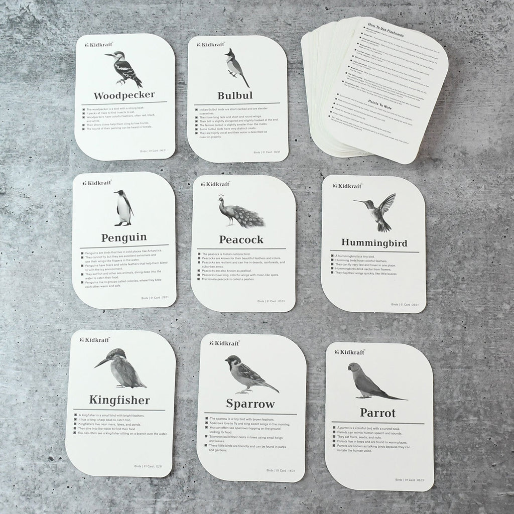 KidKraft Early Learner Educational Flashcards – 32 Birds