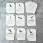 KidKraft Early Learner Educational Flashcards – 32 Birds