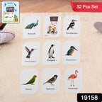 KidKraft Early Learner Educational Flashcards – 32 Birds